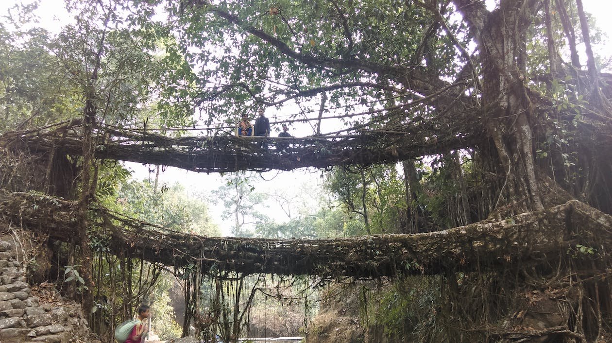 Shillong